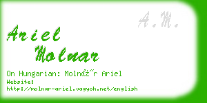 ariel molnar business card